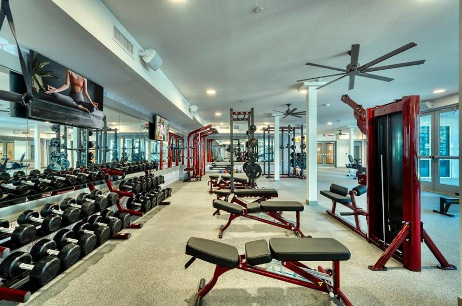 Cozysuites Phx Roro Gym, Pool, Pets, Parking! #9 Phoenix Exterior foto